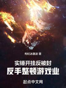 全职高手：烟雨老板，娶云秀为妻封面