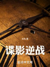 大秘书封面